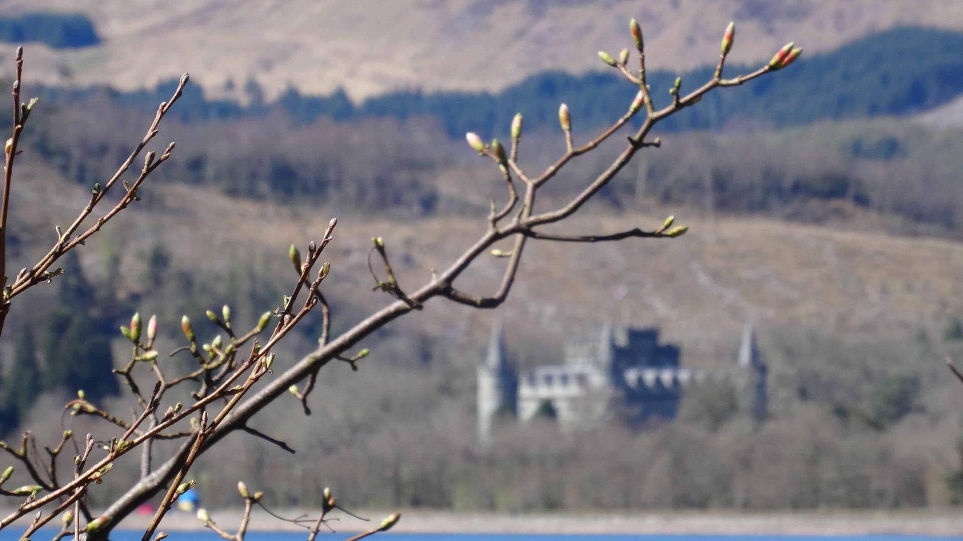 DSC03560 DSC03560